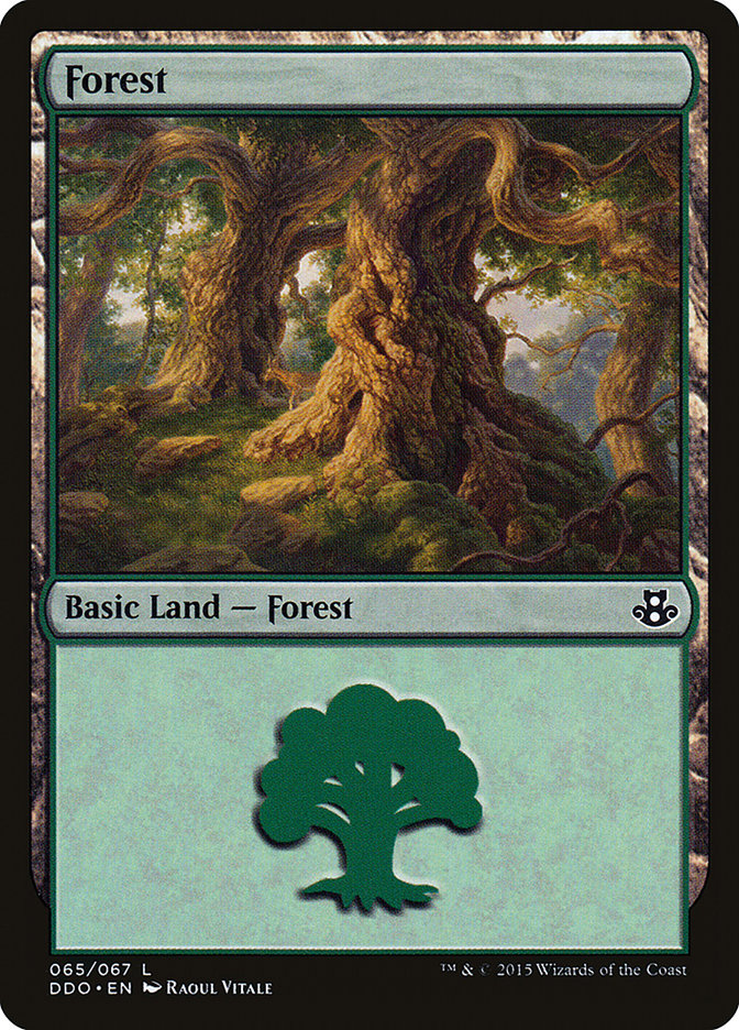 Forest (65) [Duel Decks: Elspeth vs. Kiora] | Sanctuary Gaming