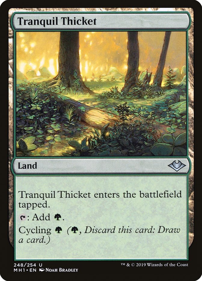 Tranquil Thicket [Modern Horizons] | Sanctuary Gaming