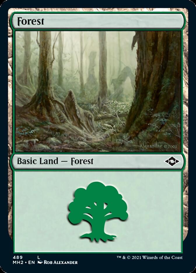 Forest (489) (Foil Etched) [Modern Horizons 2] | Sanctuary Gaming