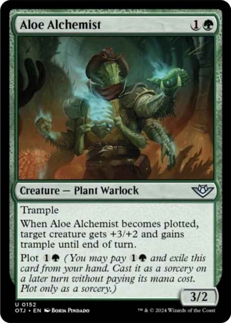 Aloe Alchemist [Outlaws of Thunder Junction] | Sanctuary Gaming