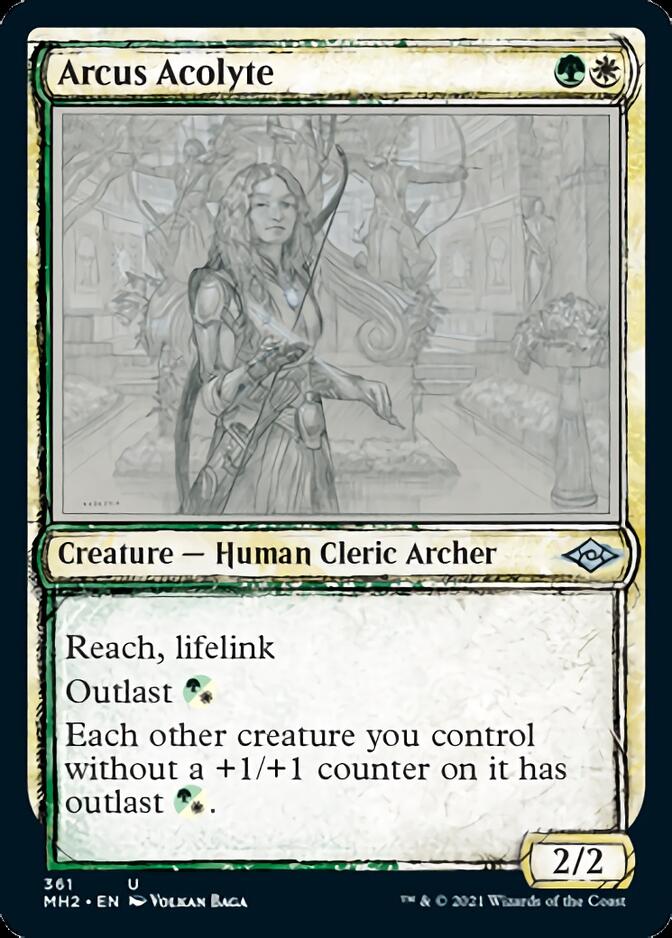 Arcus Acolyte (Sketch) [Modern Horizons 2] | Sanctuary Gaming