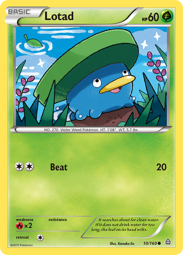 Lotad (10/160) [XY: Primal Clash] | Sanctuary Gaming