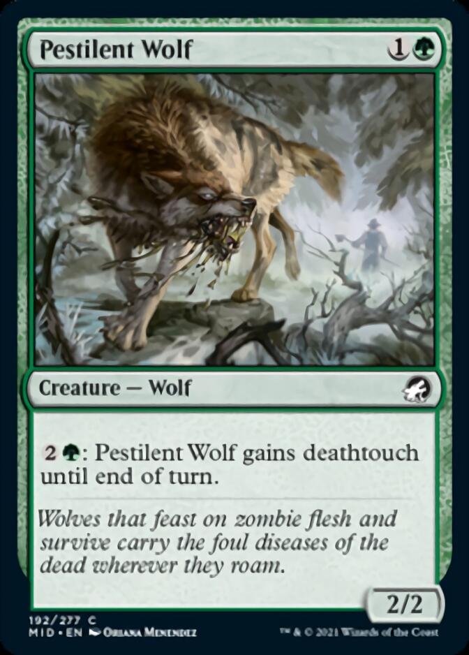 Pestilent Wolf [Innistrad: Midnight Hunt] | Sanctuary Gaming