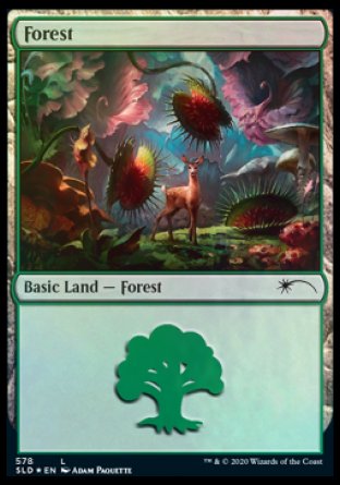 Forest (Predatory) (578) [Secret Lair Drop Promos] | Sanctuary Gaming