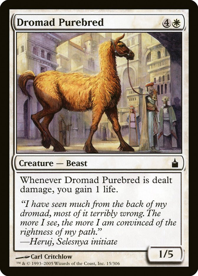 Dromad Purebred [Ravnica: City of Guilds] | Sanctuary Gaming
