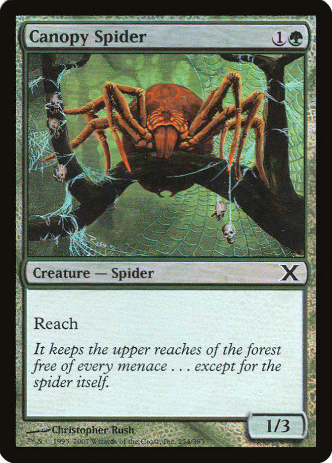 Canopy Spider (Premium Foil) [Tenth Edition] | Sanctuary Gaming