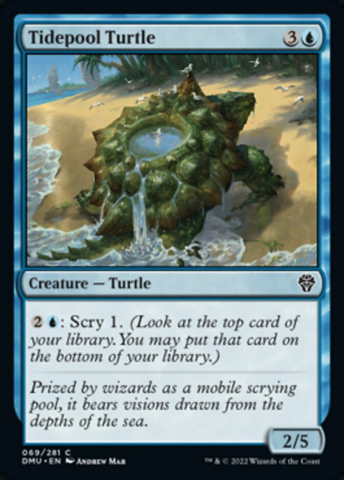 Tidepool Turtle [Dominaria United] | Sanctuary Gaming