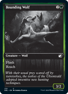 Bounding Wolf [Innistrad: Double Feature] | Sanctuary Gaming