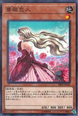 "Rose Lover" [DBSS-JP039] | Sanctuary Gaming
