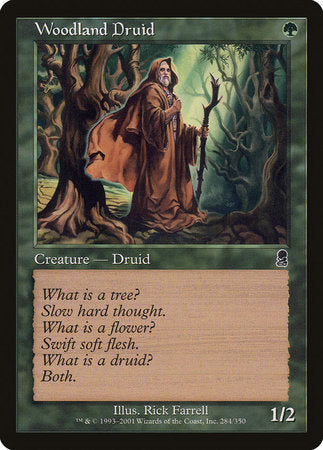 Woodland Druid [Odyssey] | Sanctuary Gaming