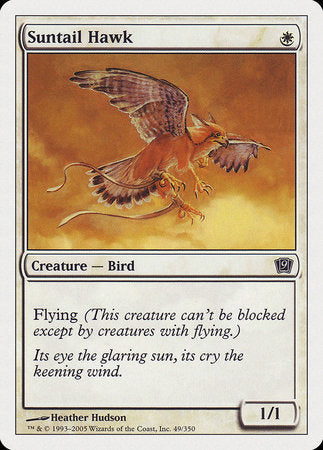 Suntail Hawk [Ninth Edition] | Sanctuary Gaming