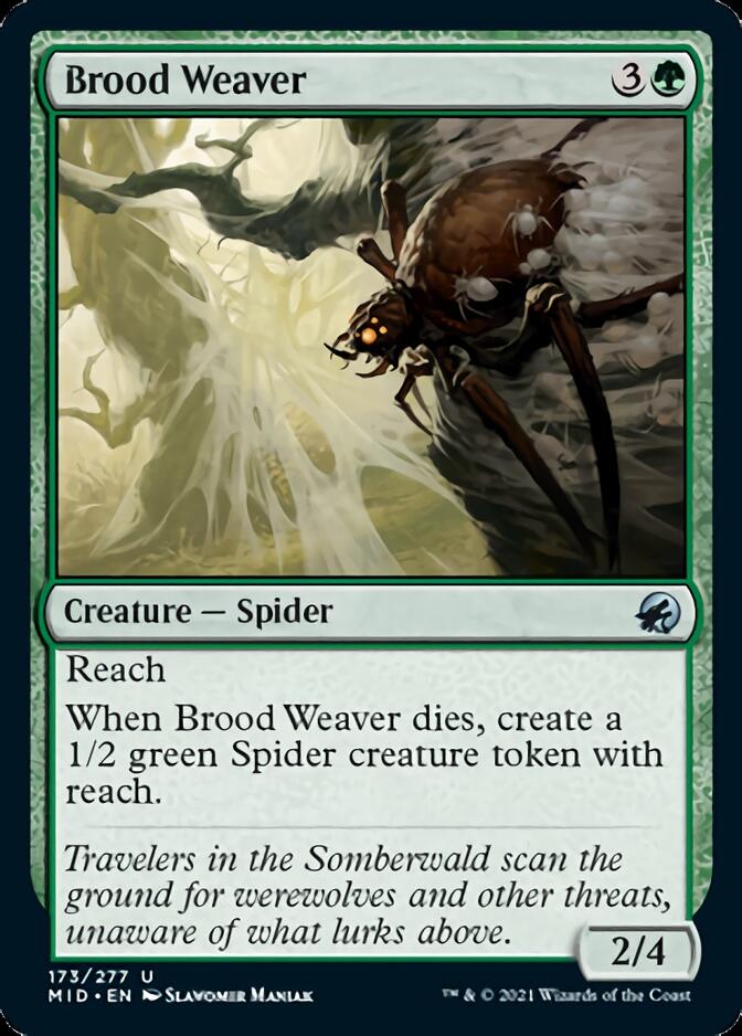 Brood Weaver [Innistrad: Midnight Hunt] | Sanctuary Gaming