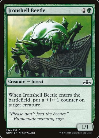 Ironshell Beetle [Guilds of Ravnica] | Sanctuary Gaming