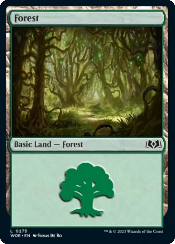 Forest (0275) [Wilds of Eldraine] | Sanctuary Gaming