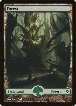 Forest (247) - Full Art [Zendikar] | Sanctuary Gaming