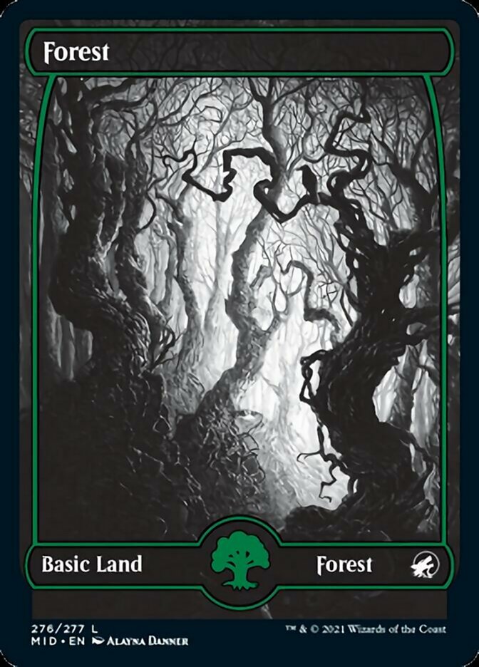 Forest (276) [Innistrad: Midnight Hunt] | Sanctuary Gaming