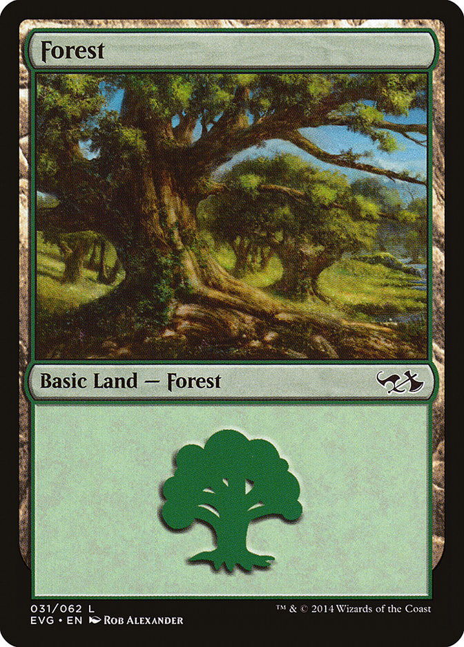 Forest (31) (Elves vs. Goblins) [Duel Decks Anthology] | Sanctuary Gaming