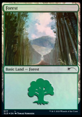 Forest (Walls) (577) [Secret Lair Drop Promos] | Sanctuary Gaming