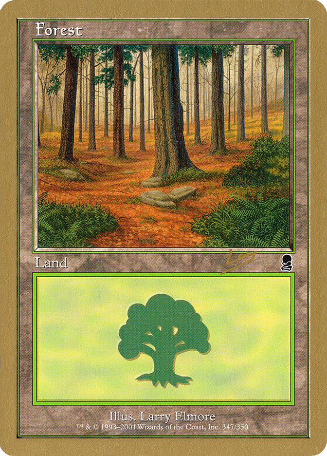 Forest (rl347) (Raphael Levy) [World Championship Decks 2002] | Sanctuary Gaming
