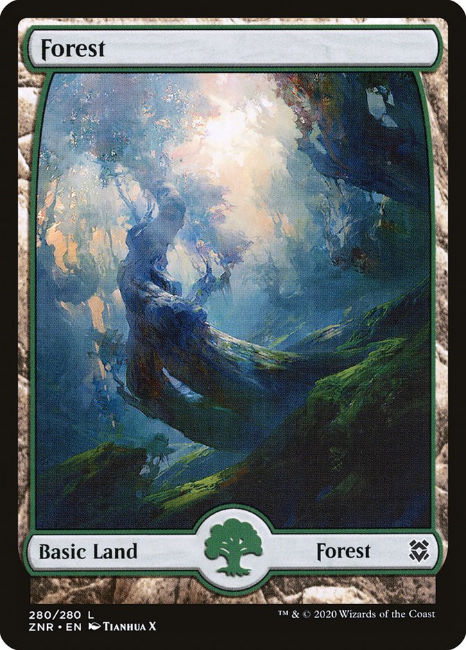 Forest (280) [Zendikar Rising] | Sanctuary Gaming