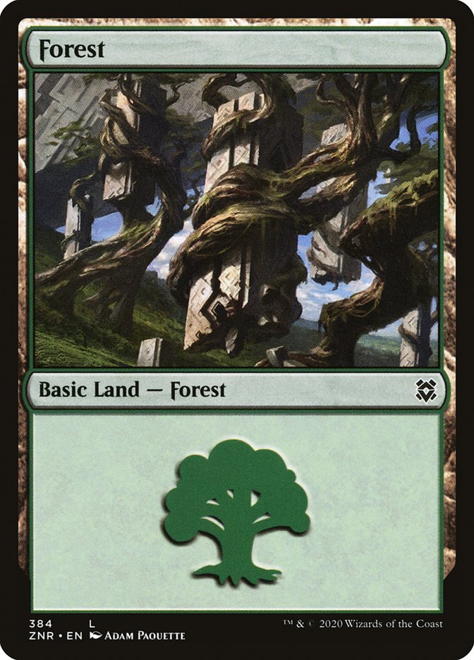Forest (384) [Zendikar Rising] | Sanctuary Gaming