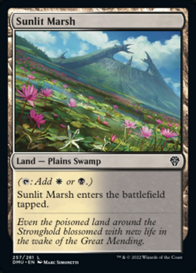 Sunlit Marsh [Dominaria United] | Sanctuary Gaming
