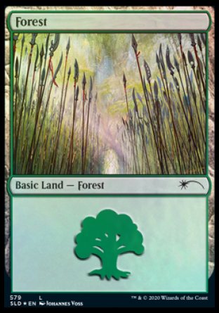 Forest (Elves) (579) [Secret Lair Drop Promos] | Sanctuary Gaming