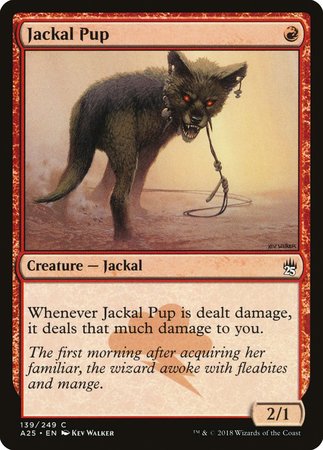 Jackal Pup [Masters 25] | Sanctuary Gaming