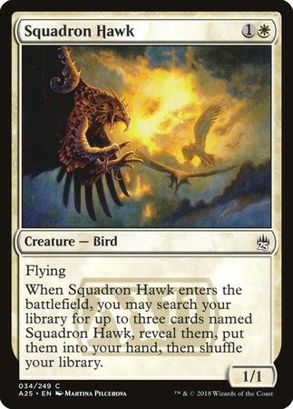 Squadron Hawk [Masters 25] | Sanctuary Gaming