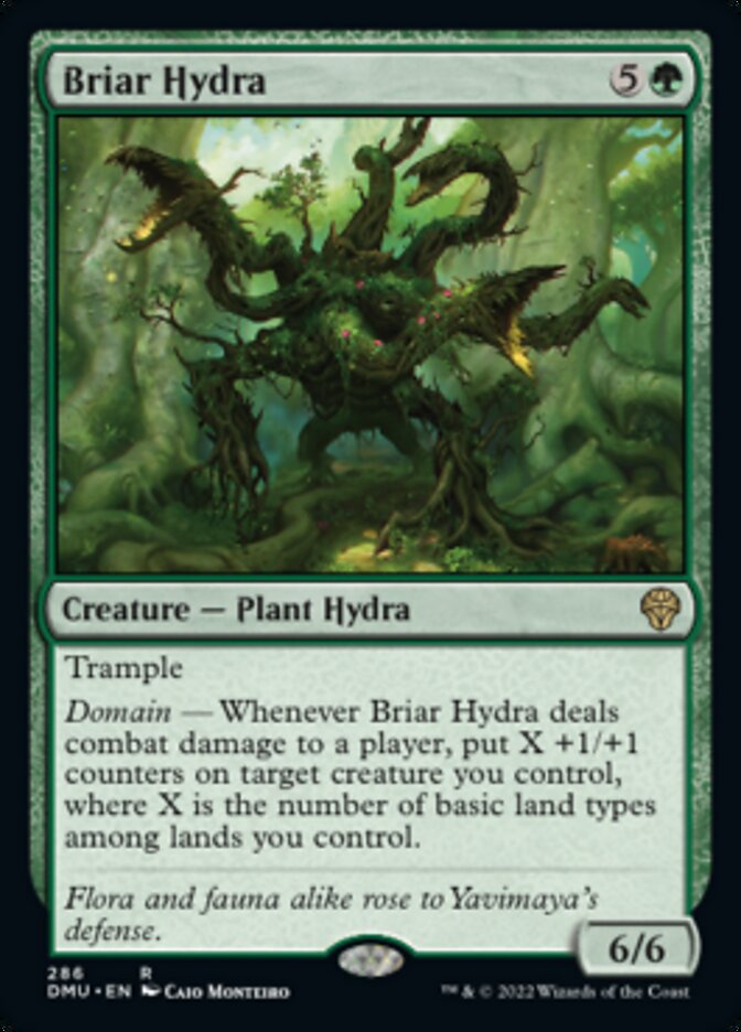 Briar Hydra [Dominaria United] | Sanctuary Gaming