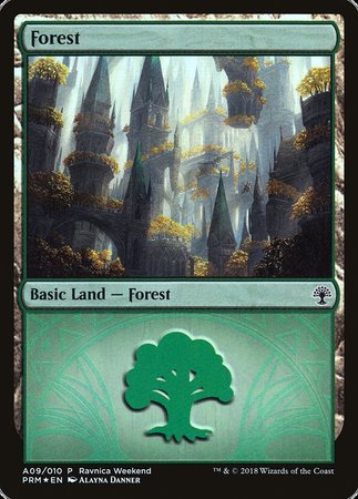 Forest - Selesnya (A09) [GRN Ravnica Weekend] | Sanctuary Gaming