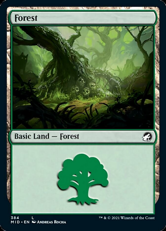 Forest (384) [Innistrad: Midnight Hunt] | Sanctuary Gaming