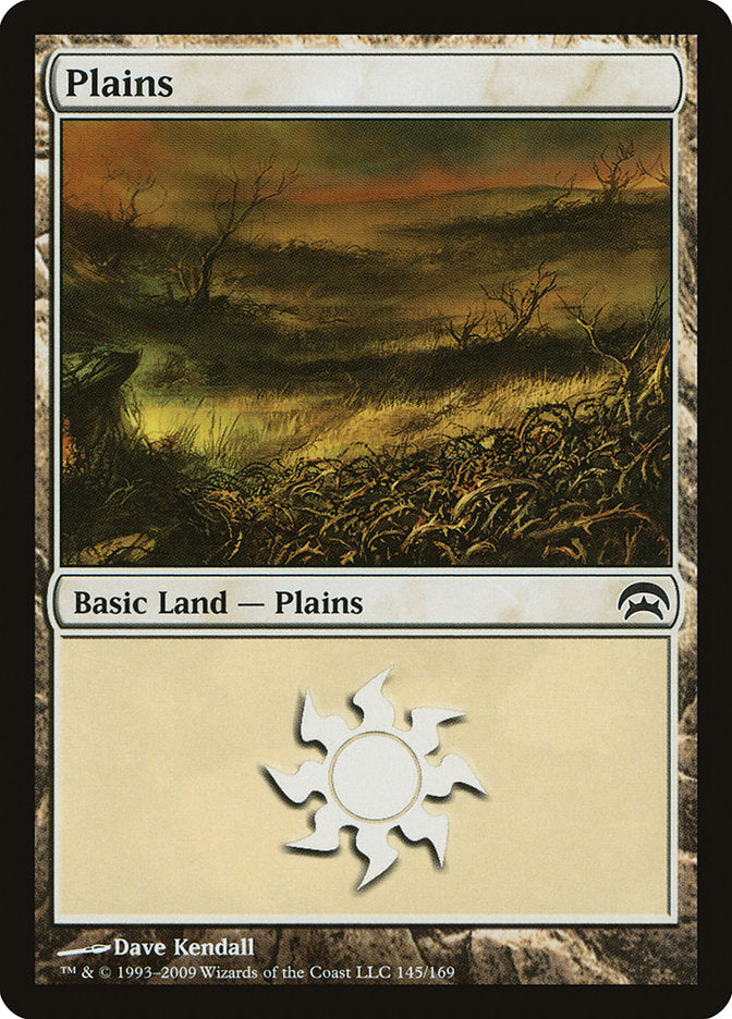 Plains (145) [Planechase] | Sanctuary Gaming