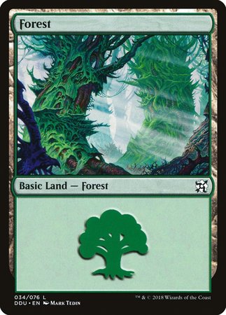 Forest (34) [Duel Decks: Elves vs. Inventors] | Sanctuary Gaming