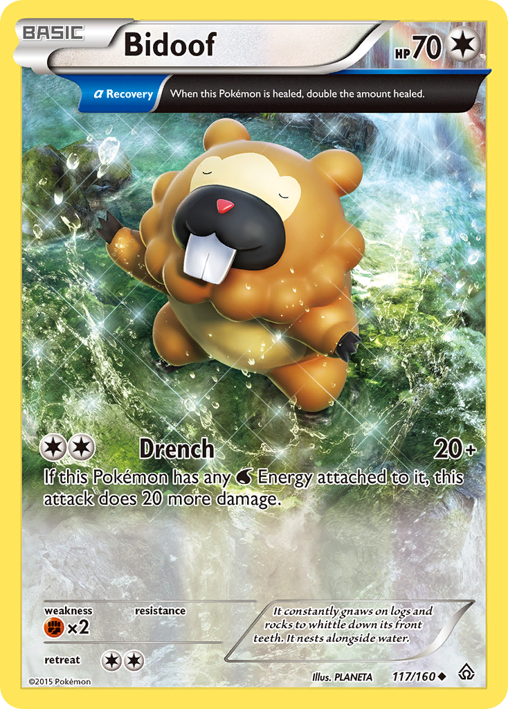 Bidoof (117/160) [XY: Primal Clash] | Sanctuary Gaming