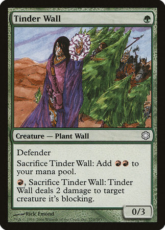 Tinder Wall [Coldsnap Theme Decks] | Sanctuary Gaming