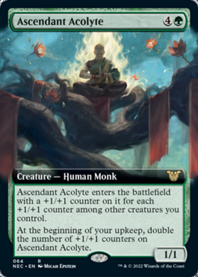 Ascendant Acolyte (Extended) [Kamigawa: Neon Dynasty Commander] | Sanctuary Gaming