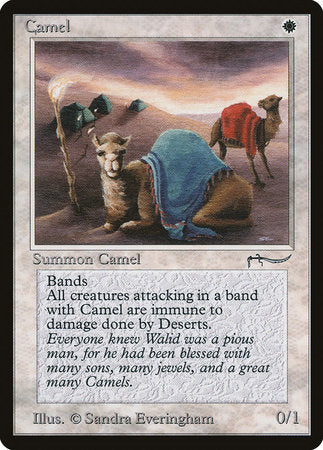 Camel [Arabian Nights] | Sanctuary Gaming