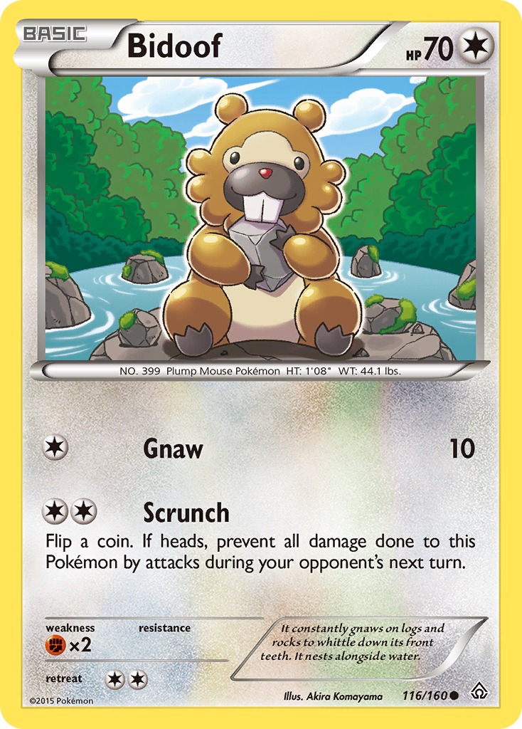 Bidoof (116/160) [XY: Primal Clash] | Sanctuary Gaming