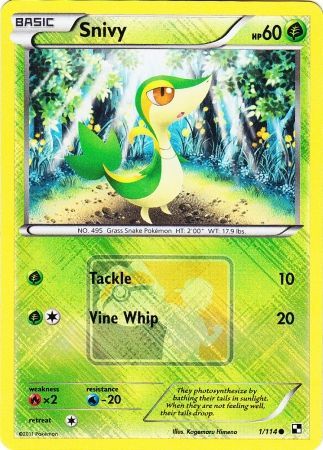 Snivy (1/114) (League Promo) [Black & White: Base Set] | Sanctuary Gaming